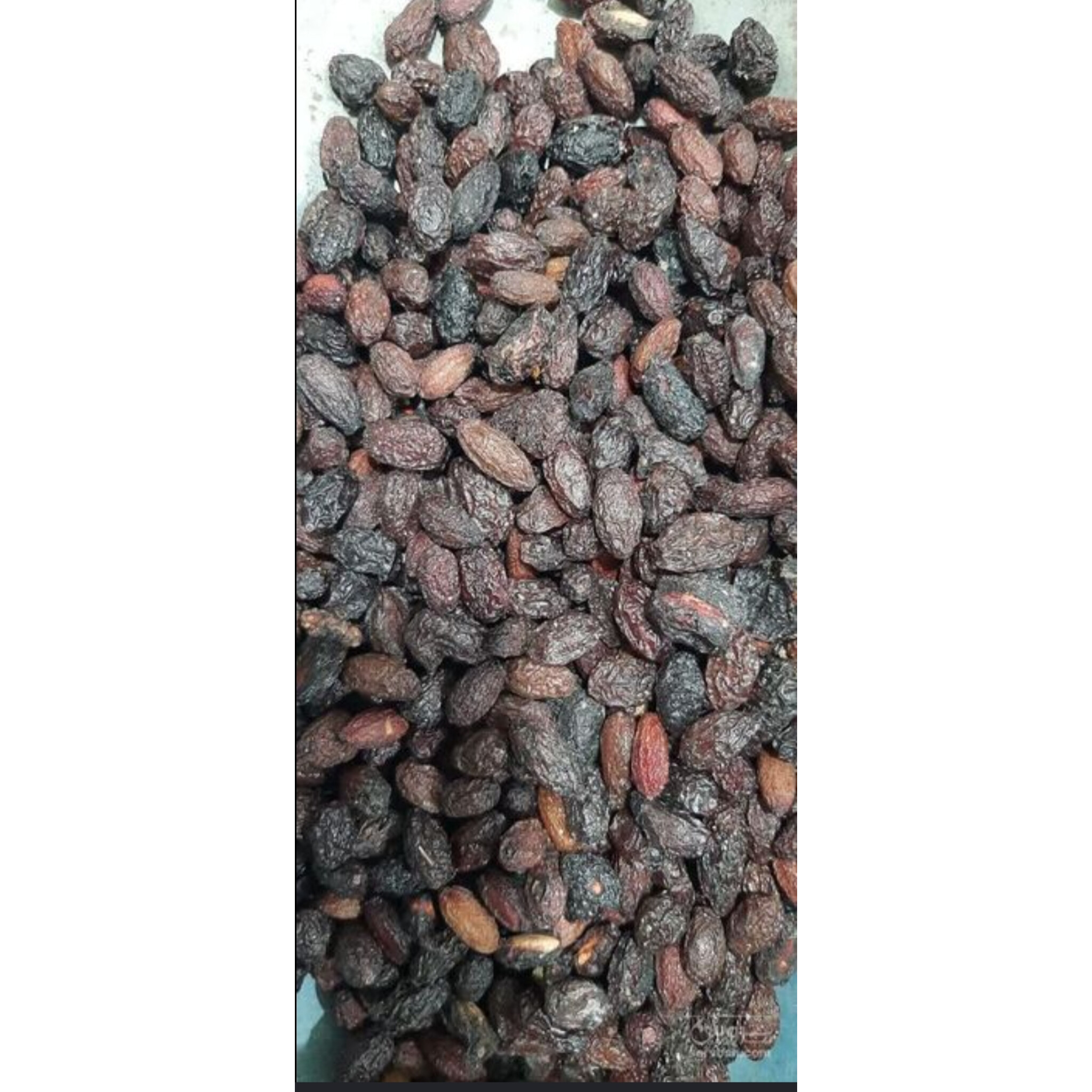 ذغال اخته درجه یک خشک / فله ایی